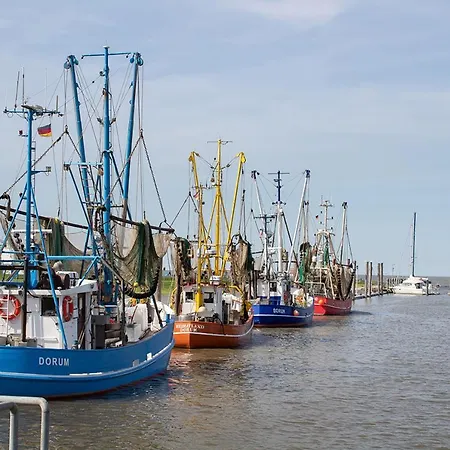Dom wakacyjny Tp 8 - Strandlaeufer Komfort Dorumer Neufeld